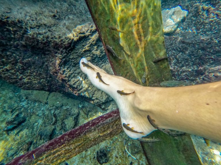 Chemka-Spring-Picnic-and-Hiking