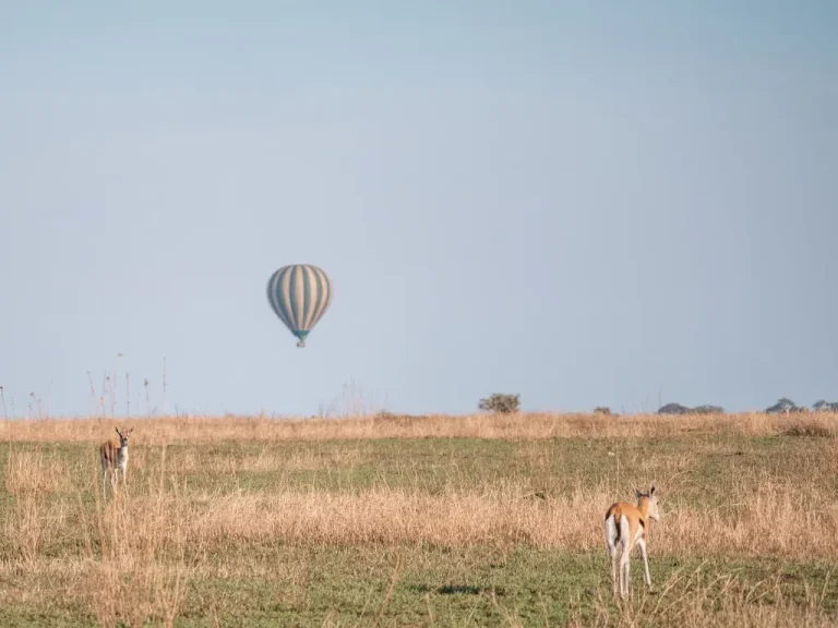 tarangire balloon safaris