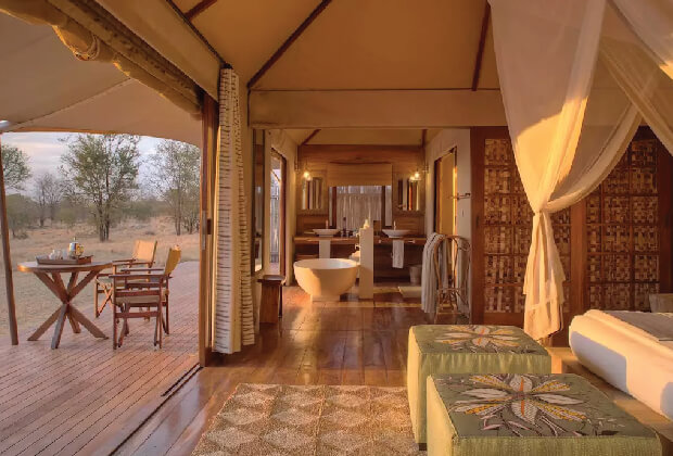 Luxury Safaris 