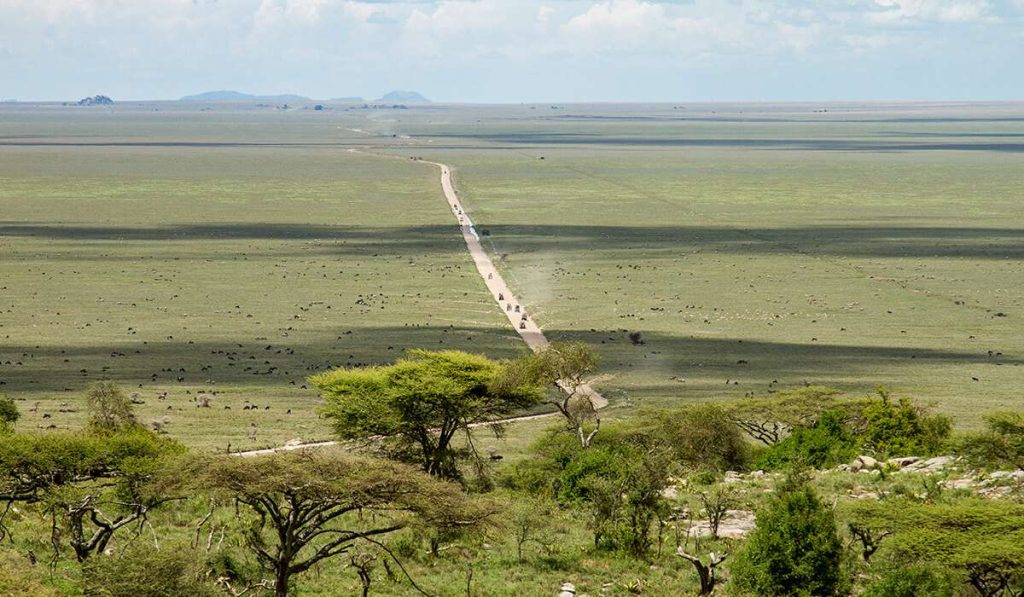 Serengeti Facts