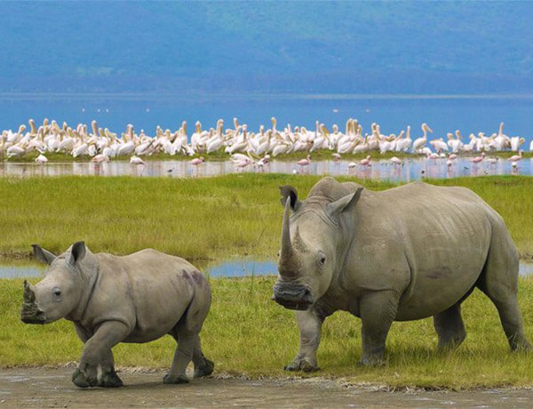 Ngorongoro Crater 