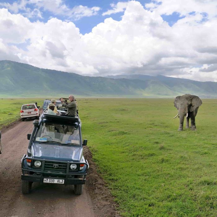 Park-Fees-Ngorongoro