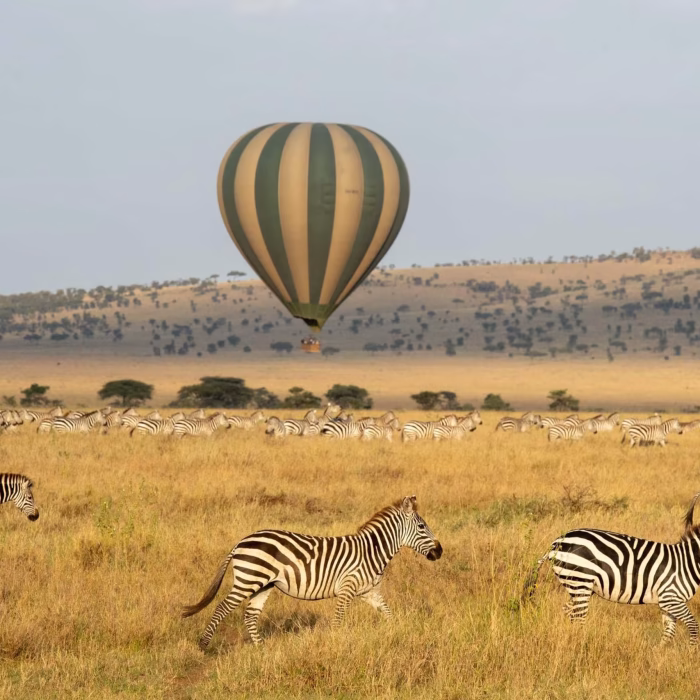 balloon safaris