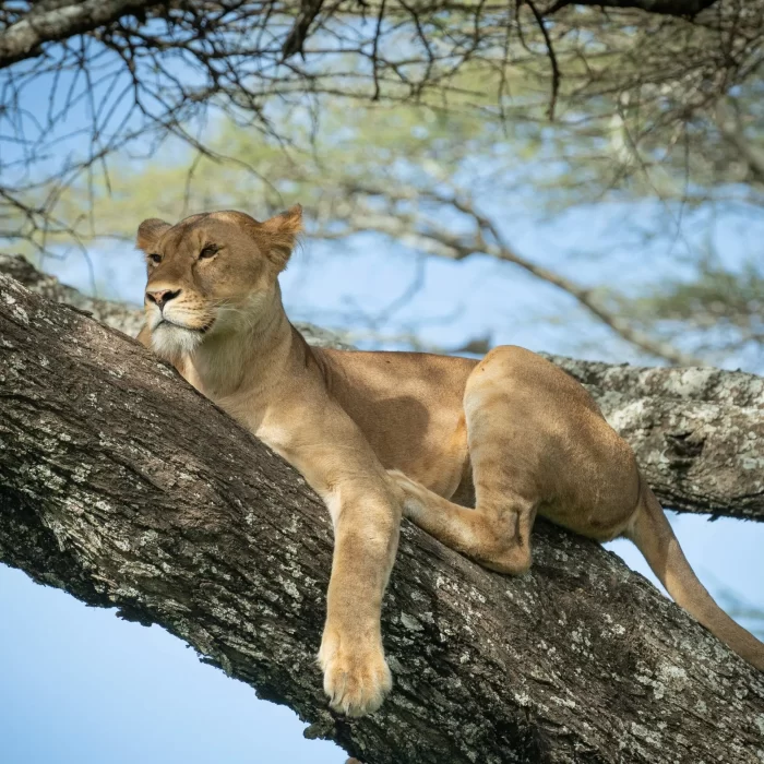 lake manyara national park