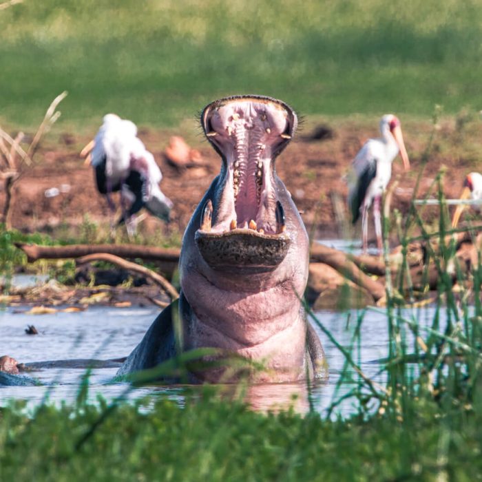 lake manyara