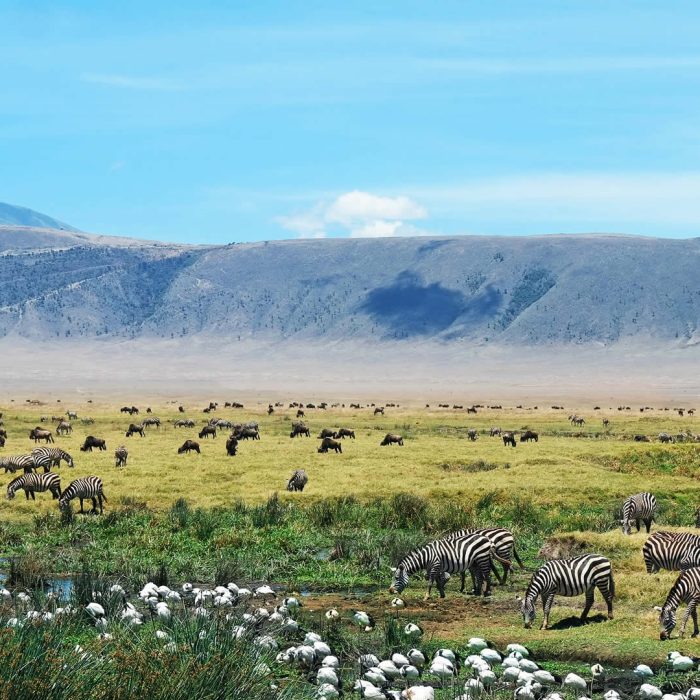 ngorongoro-conservation-area